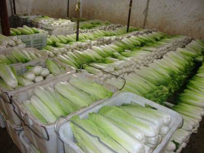 我想建一個蔬菜水果保鮮庫，冷庫溫度是多少