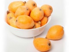 枇杷冷庫貯藏技術(shù)介紹，枇杷冷庫造價(jià)是多少