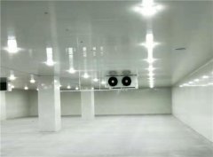 300平方高3米冷庫造價大概在多少錢？