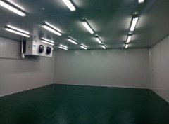 定制酒店冷凍庫、食堂雙溫庫、餐飲冷藏庫工程造價