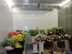 建一個(gè)鮮花花卉保鮮冷庫(kù)需要多少錢(qián)