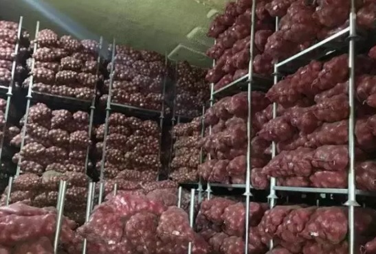 洋蔥在冷庫存儲多久，洋蔥冷藏庫安裝設計及造價