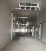 -25℃低溫海鮮魚肉加工廠冷凍庫安裝設計標準費用多少？